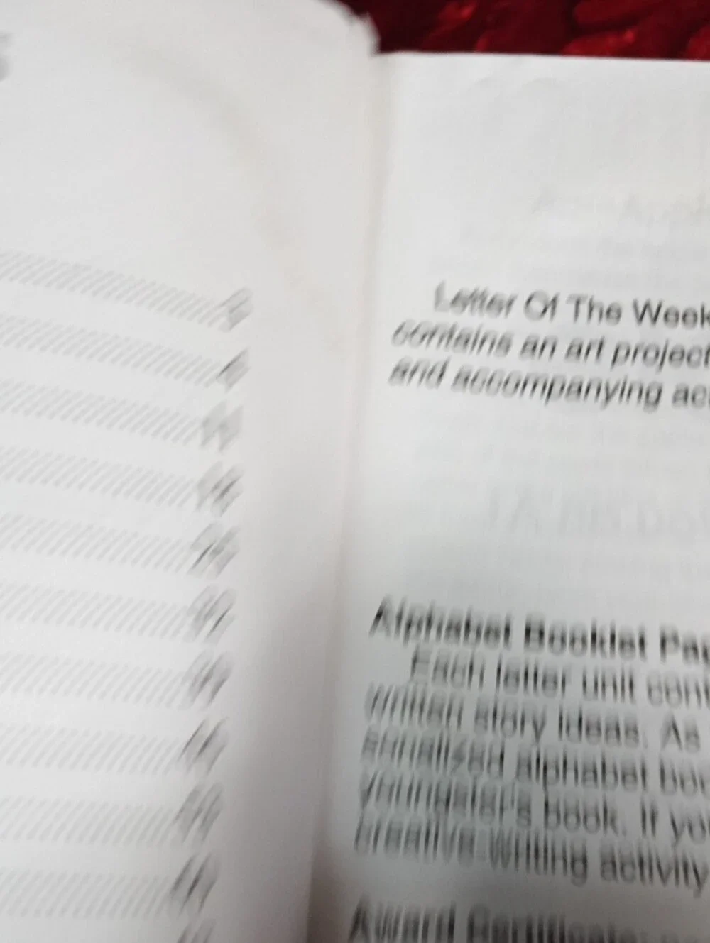 Letter of the Week Activity Book - Blue Cover -